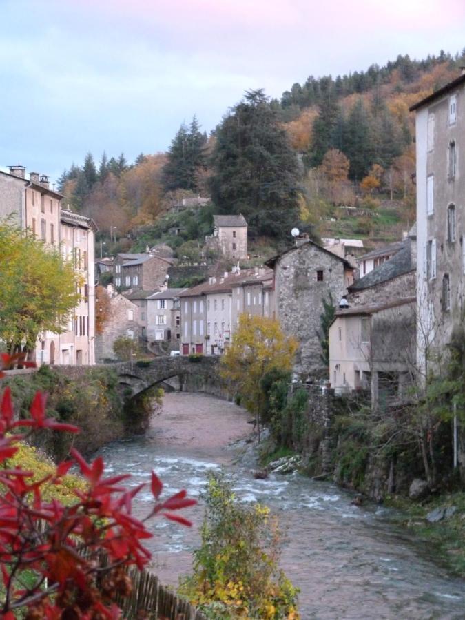 Cocon Des Cevennes - Pierre De Lune Saint-André-de-Valborgne Buitenkant foto